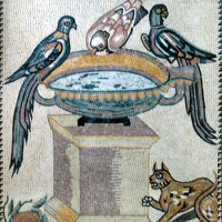 AN169-G
