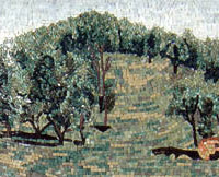 CR241-G