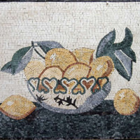 GEO107-G