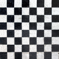 GEO351-G