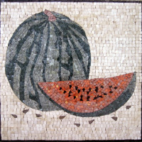 GEO409-G